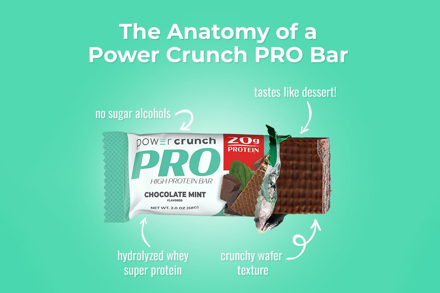 Anatomy of a Power Crunch PRO Chocolate Mint bar with hydrolyzed whey protein, crunchy wafers