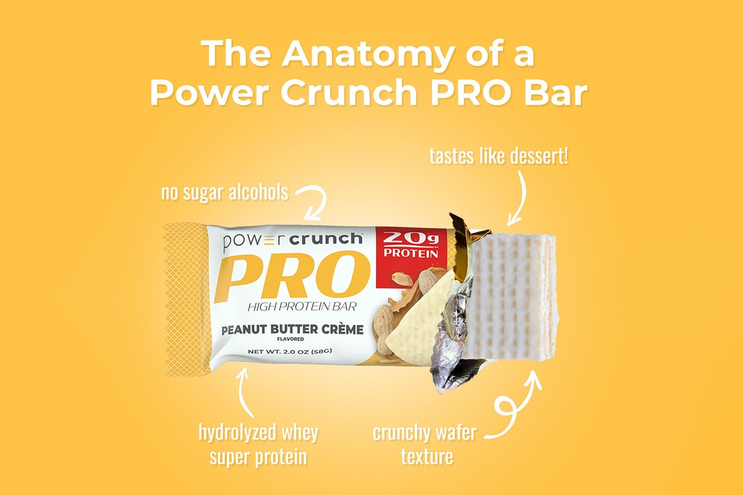 Anatomy of a Power Crunch PRO Peanut Butter bar with hydrolyzed whey protein, crunchy wafers